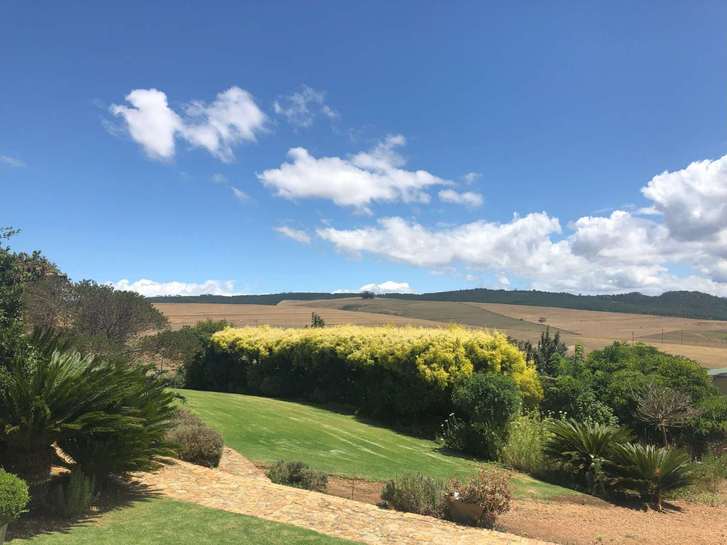 Ein Feld mit einem Hügel im Hintergrund und einem blauen Himmel mit Wolken