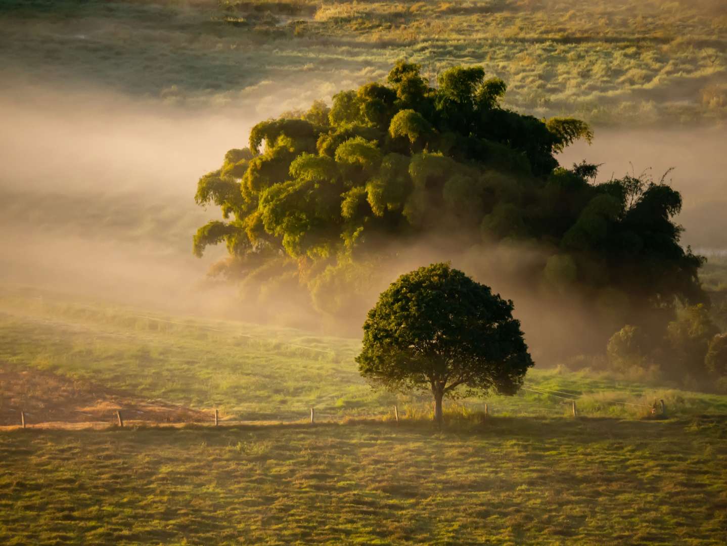 Morgenstimmung in den Atherton Tablelands