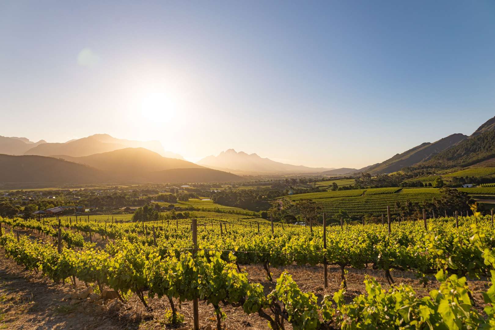 Stellenbosch Weinregion in Südafrika