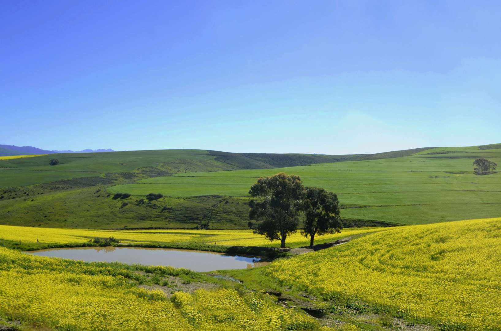 Landschaft bei Villiersdorp