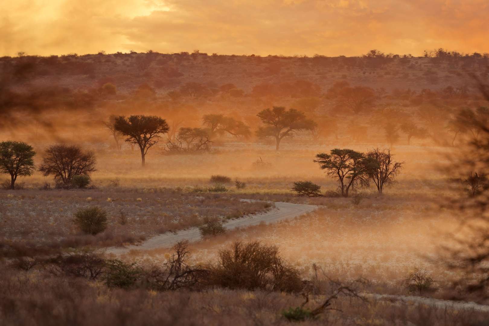 Kalahari Wüste in Südafrika