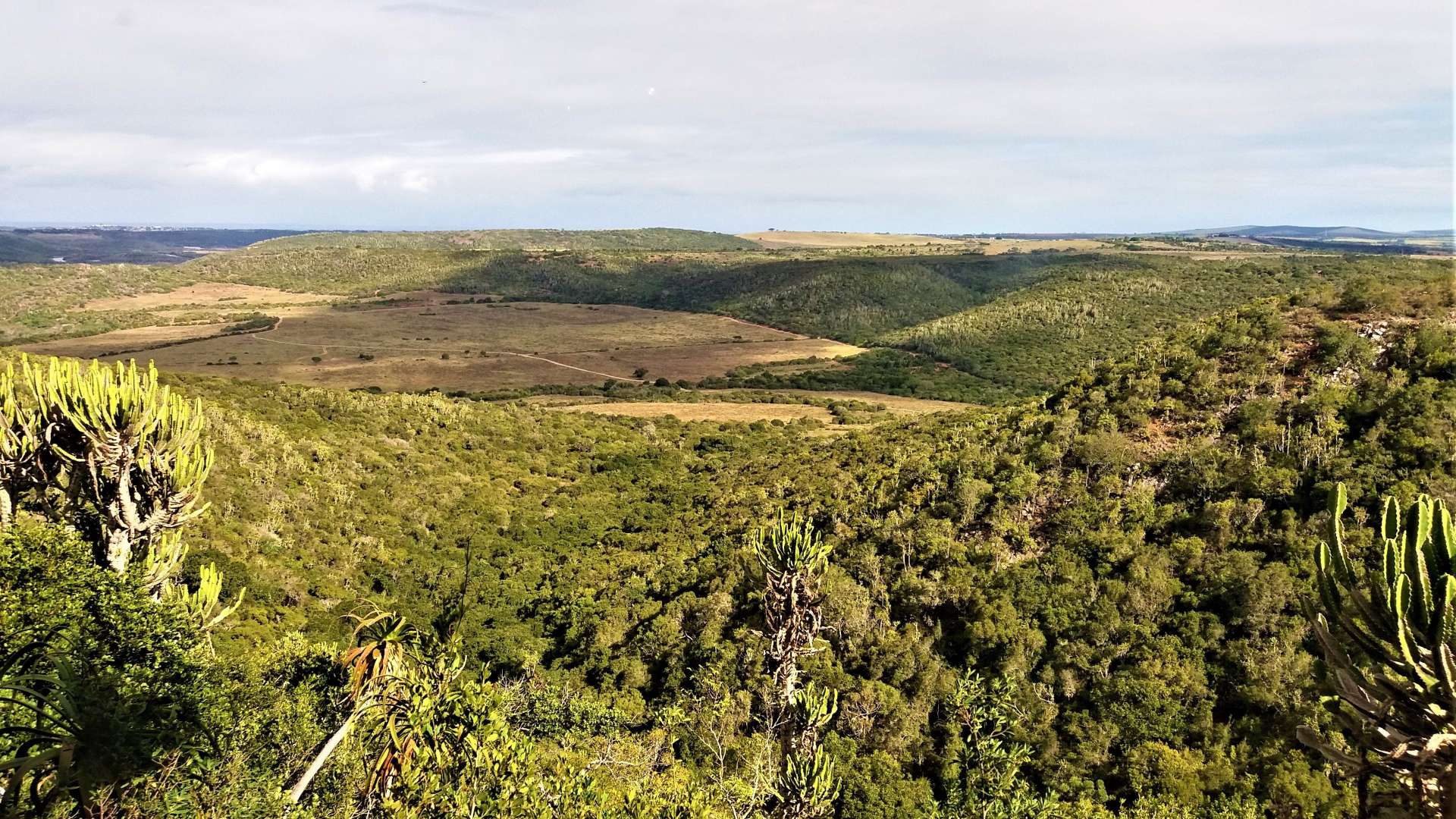 Kariega Game Reserve