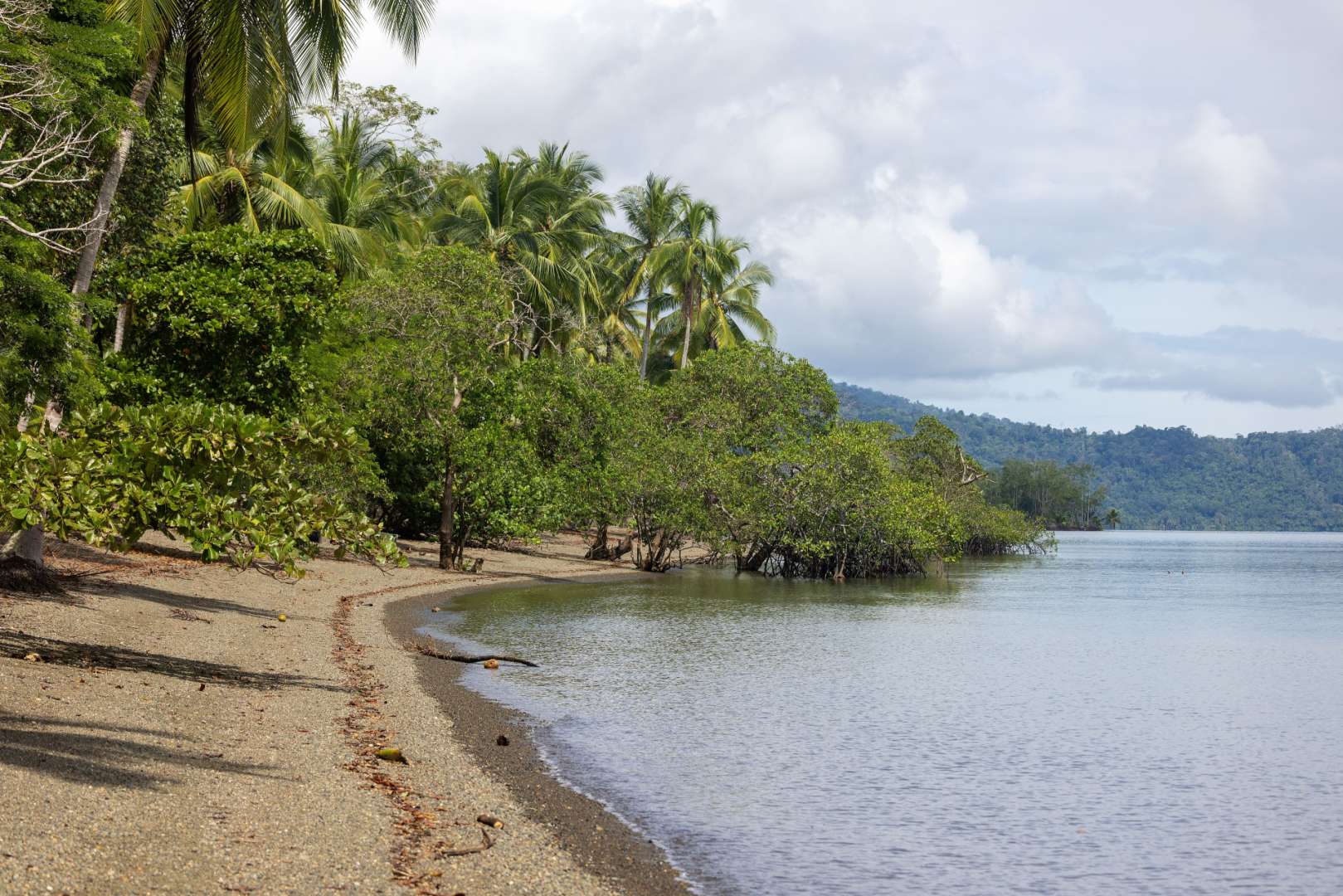 Ehemaliges Goldgräberterritorium: Puerto Jimenez