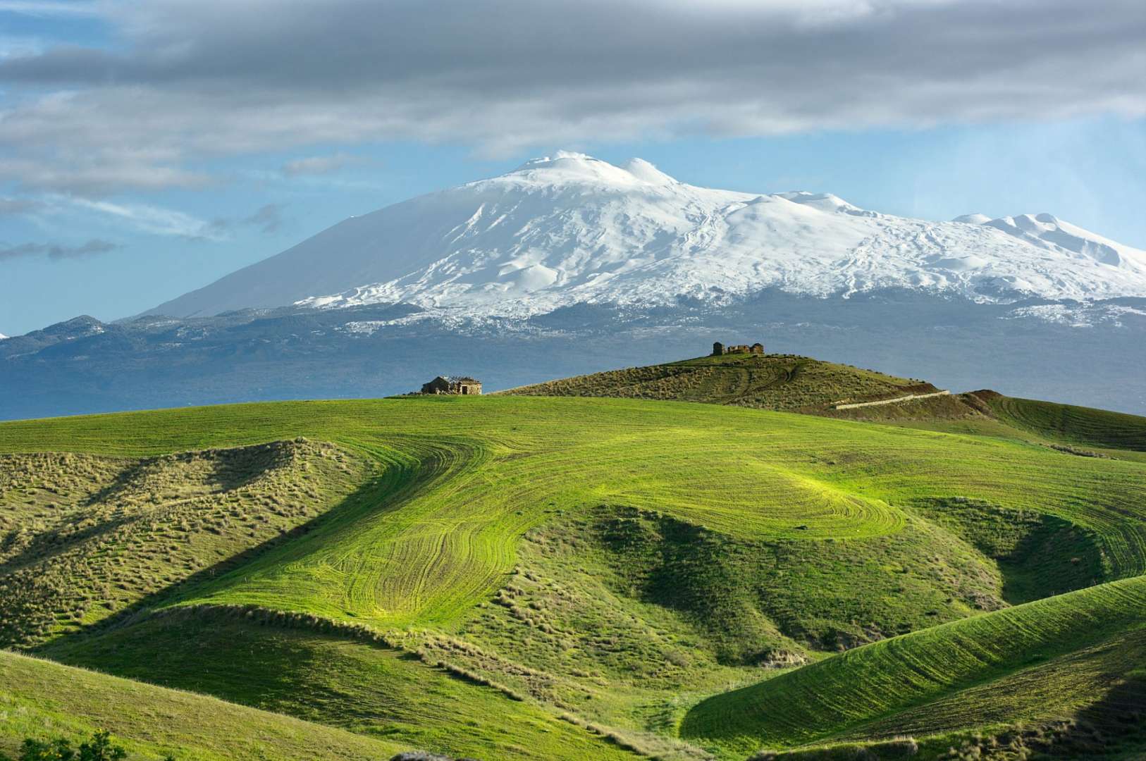 Ein grüner Hügel mit einem schneebedeckten Berg im Hintergrund