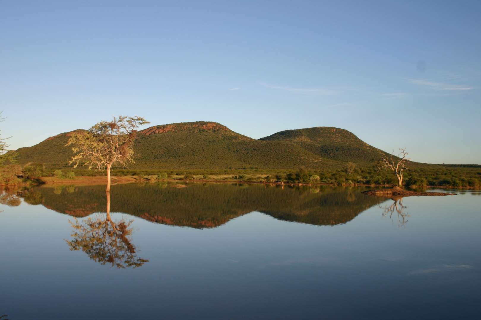 Ein See mit Bäumen und Bergen im Hintergrund