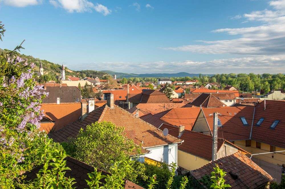 Eine kleine Stadt mit roten Dächern und lila Blüten