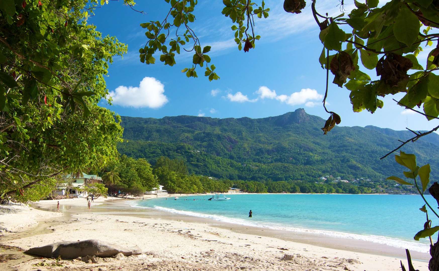 Ein Strand mit Bäumen und Bergen im Hintergrund