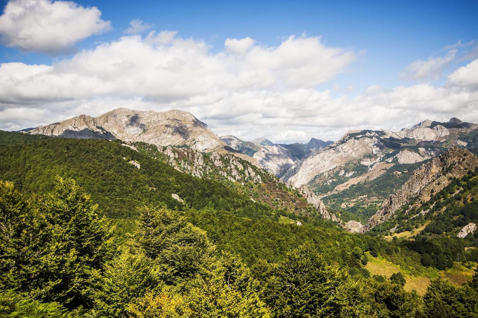 Ein Blick auf eine Bergkette mit Bäumen im Vordergrund