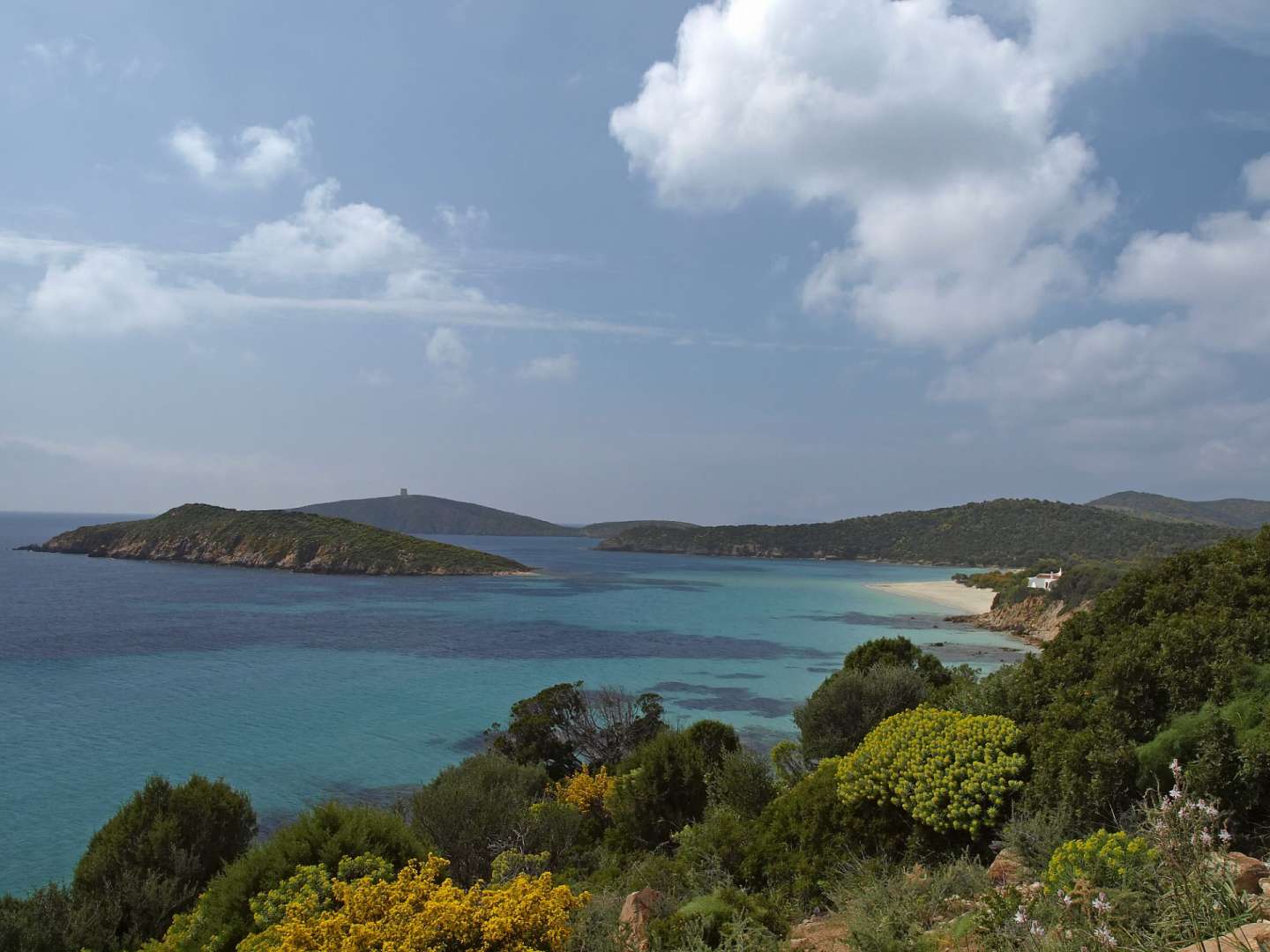 Ein Blick auf einen Strand mit einer kleinen Insel im Hintergrund
