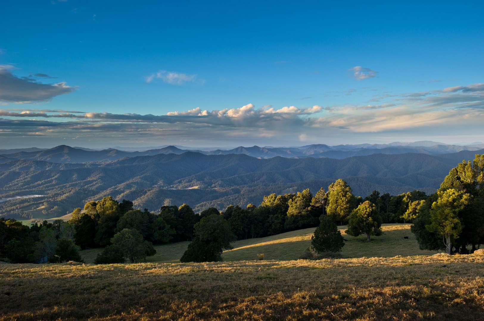 Ein Blick auf eine Bergkette mit Bäumen im Vordergrund