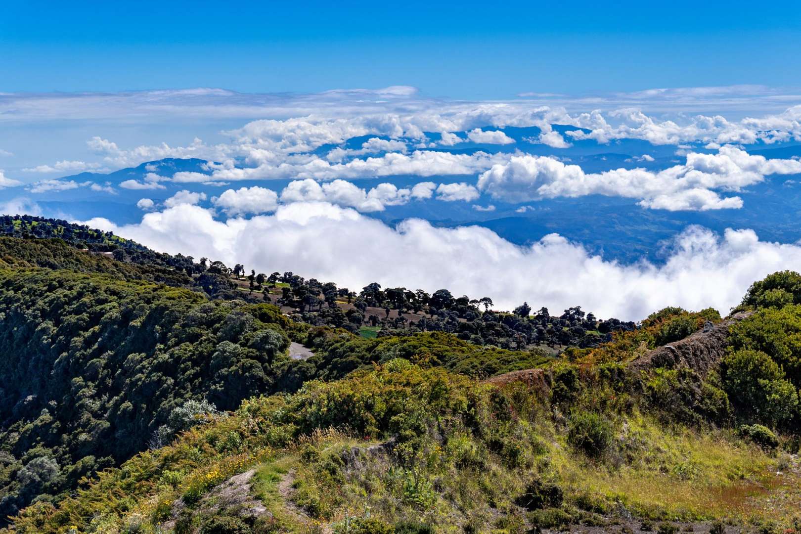 Eine Landschaft mit Bäumen und Wolken im Hintergrund