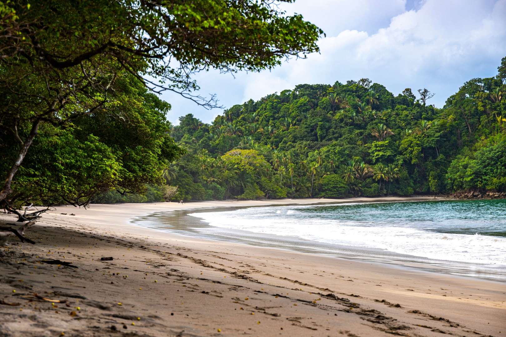 Ein sandiger Strand mit Bäumen im Hintergrund