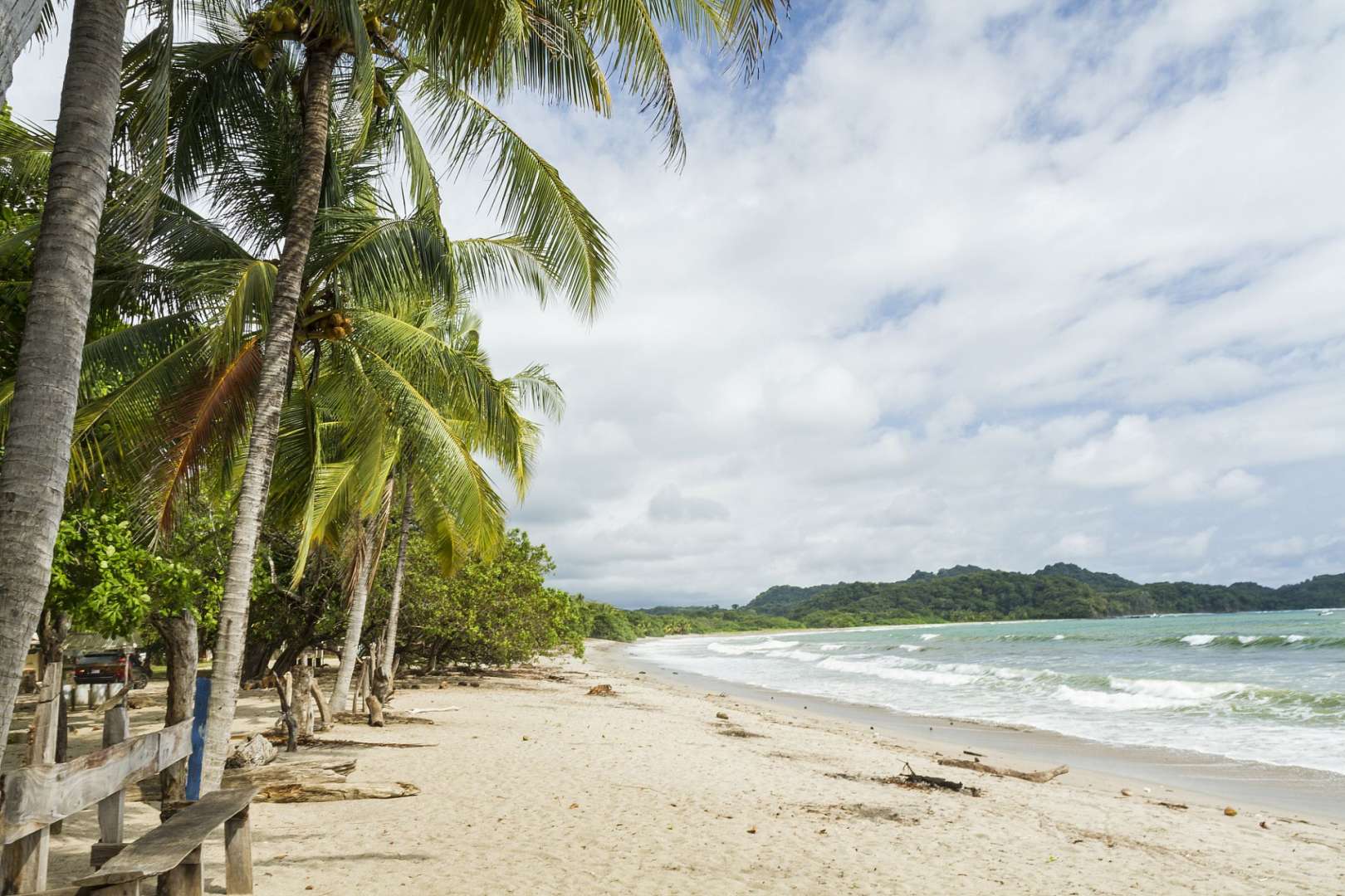 Ein Strand mit Palmen und einem blauen Zaun
