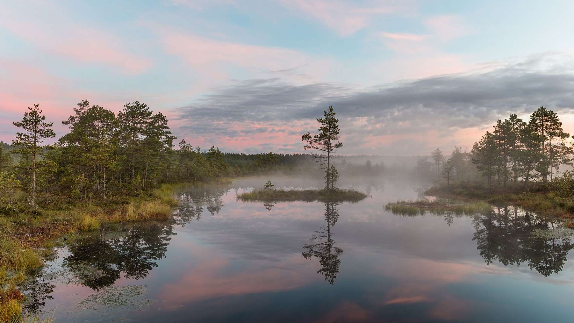 Ein nebliger See mit einer kleinen Insel in der Mitte