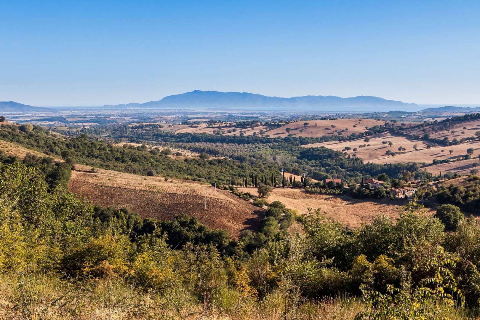 Ein Blick auf eine Landschaft mit Bergen im Hintergrund