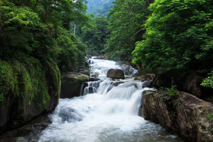 Ein Wasserfall inmitten eines grünen Waldes