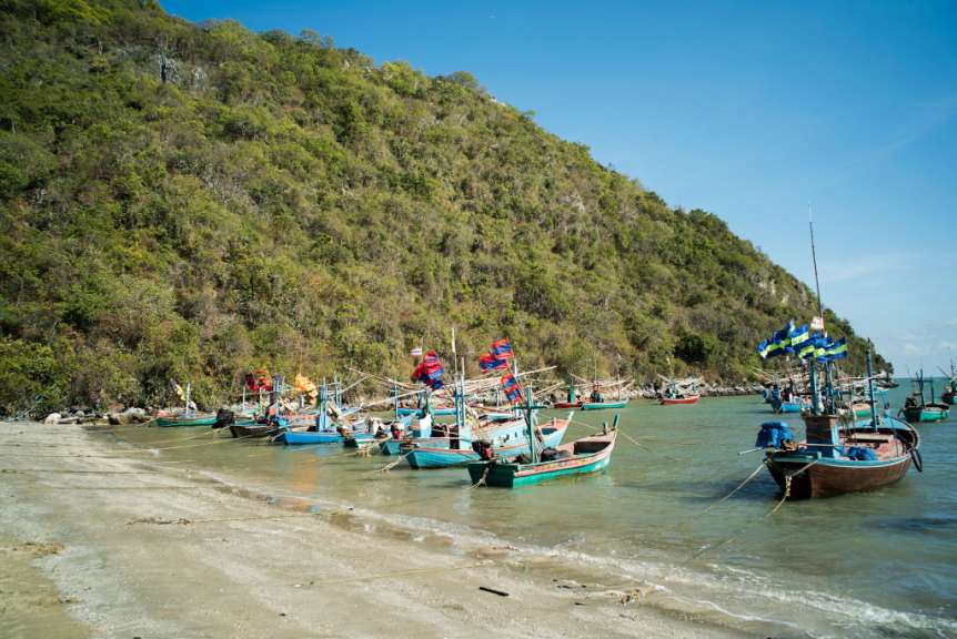Eine Reihe von Booten, die an einem Strand festgemacht sind