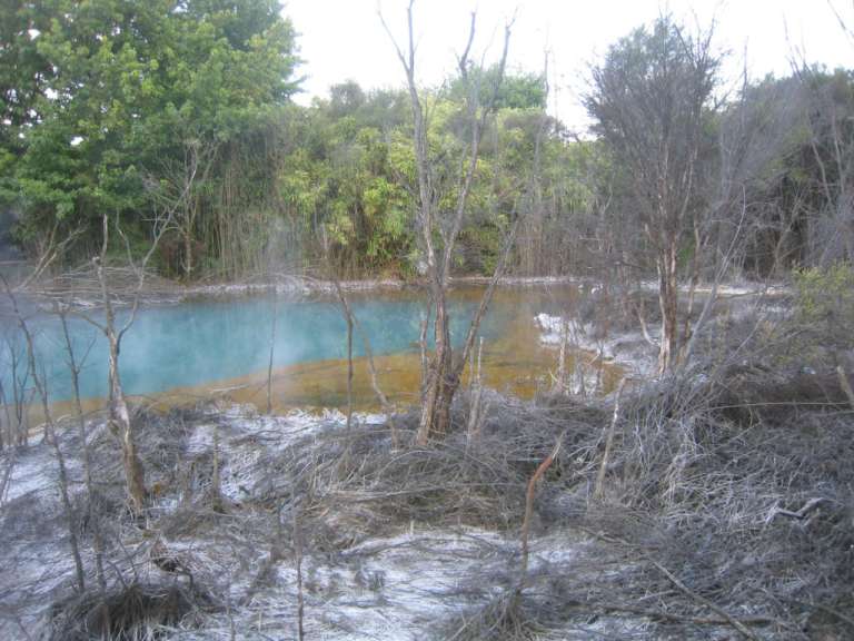 Rotorua, bizarr bunt und voller Schwefeldämpfe