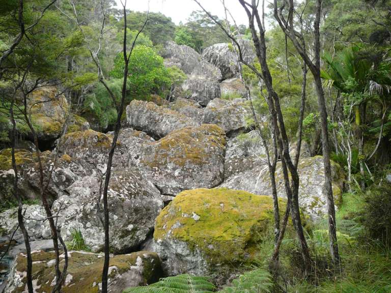 Wairere Boulders