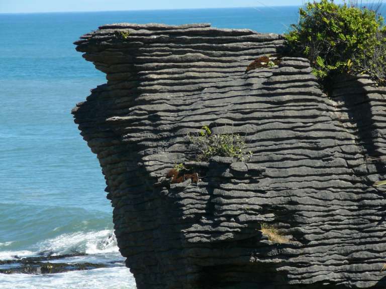 Die Pancake Rocks bei strahlender Sonne