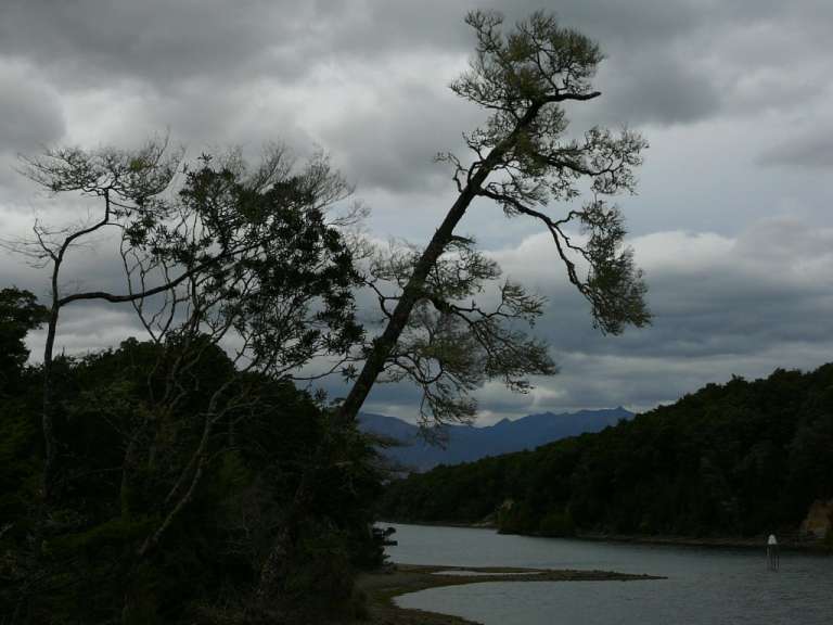 Abendstimmung am Lake Manapouri