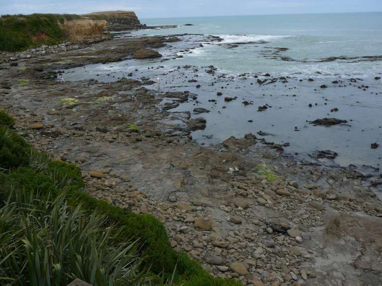 Einsamer Strand auf der Otego- Peninsula