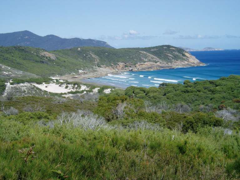 Ein Blick auf einen Strand mit Bergen im Hintergrund
