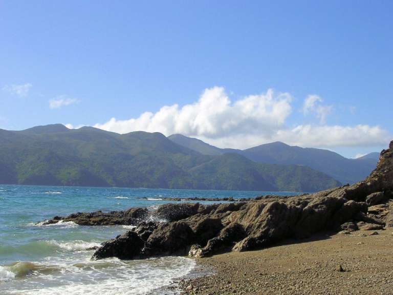 Ngaio Bay (French Pas) bei Ebbe (Low-Tide)