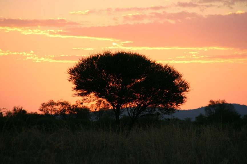 Ein Sonnenuntergang mit einem Baum im Vordergrund
