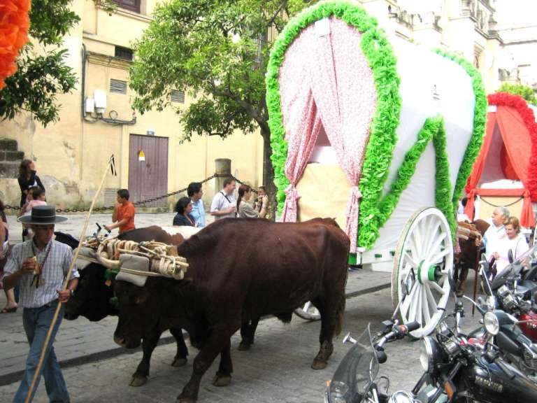 Sevilla: Prozession zu Ehren der Virgen de Rocio