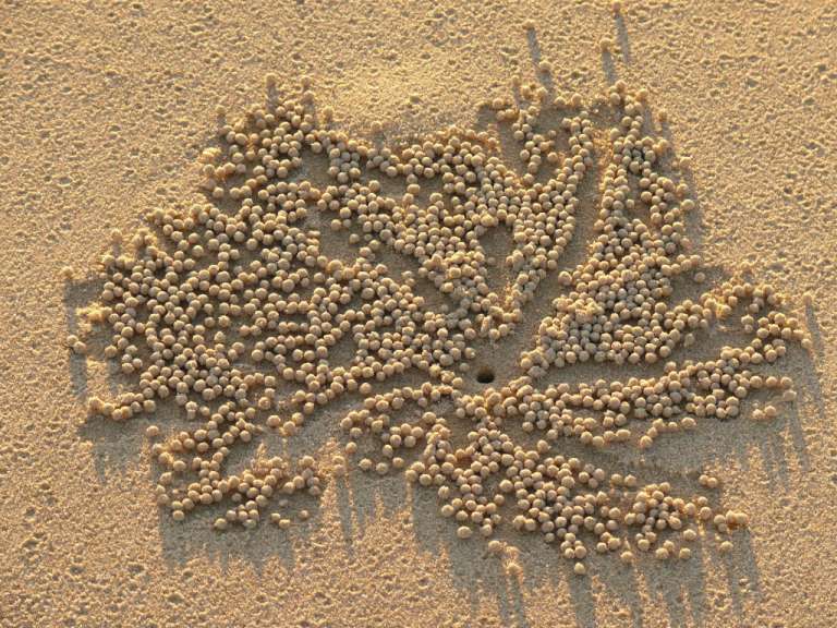 Sand art