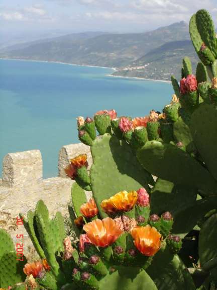 Auf der Bastion von Cefalu