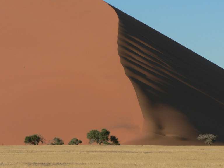 Ein großer Sanddüne in der Wüste mit Bäumen im Vordergrund