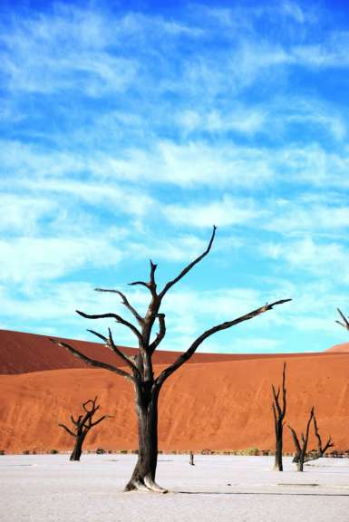 Dead Vlei