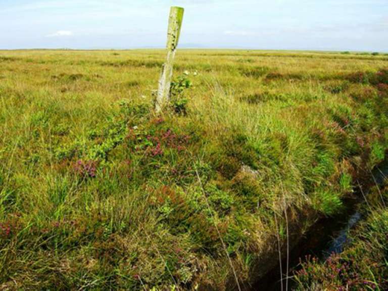 Islay: die Torffelder für den Rauchgeschmack des Whiskys