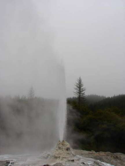 Ein Geysir explodiert in einem nebligen Wald