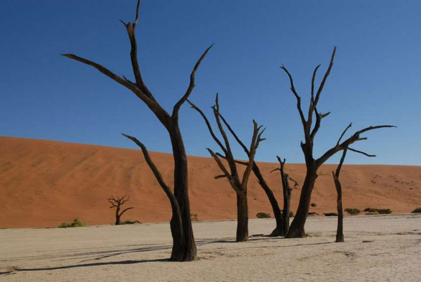 Sossusvlei / Deadvlei