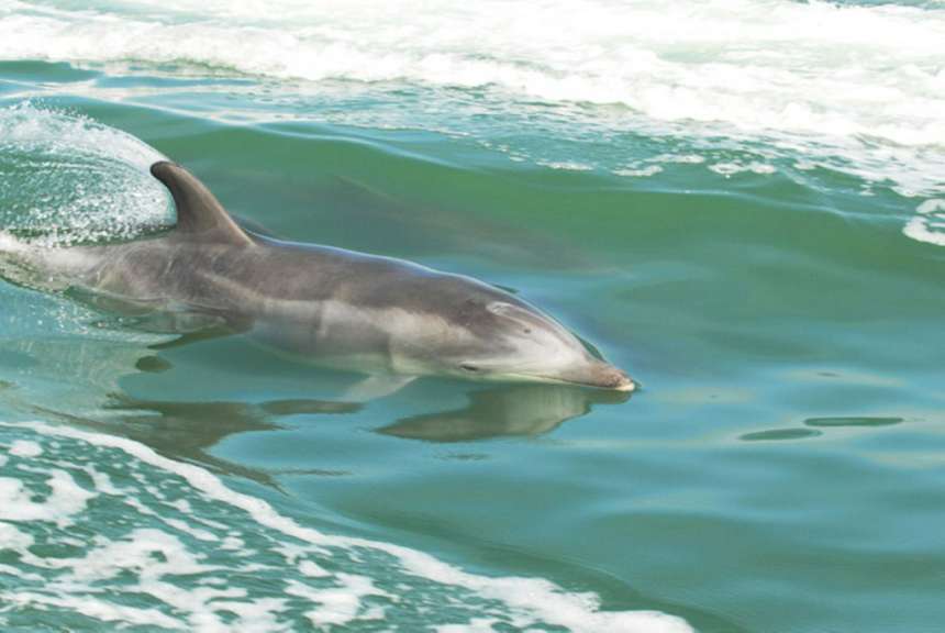 Walvis Bay