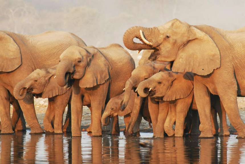 Etosha