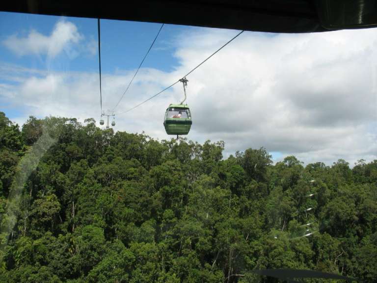 Eine grüne Seilbahn fährt durch einen Wald