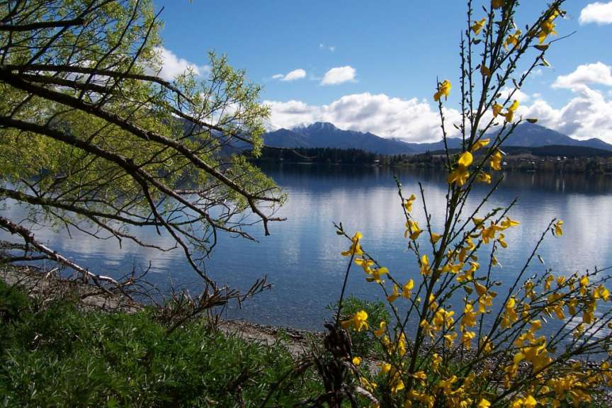 Lake Wanaka