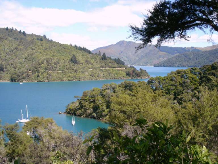 Ein blauer See umgeben von Bäumen und Bergen