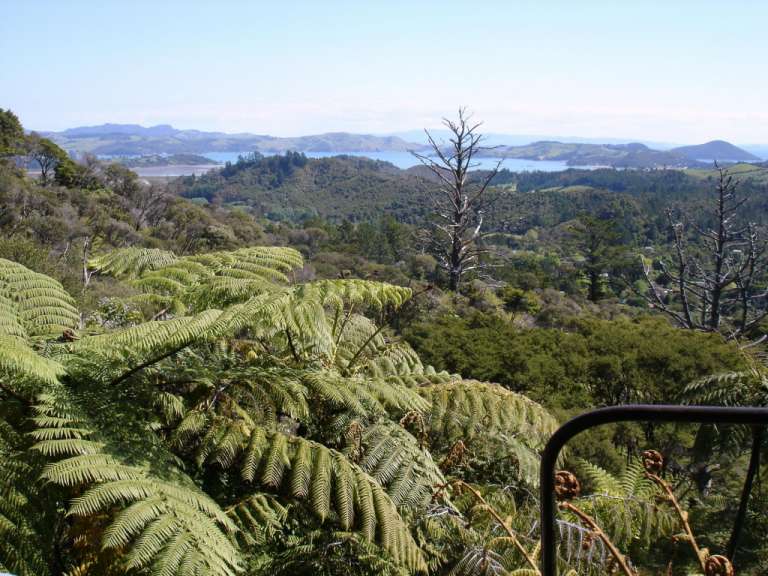 Coromandel
