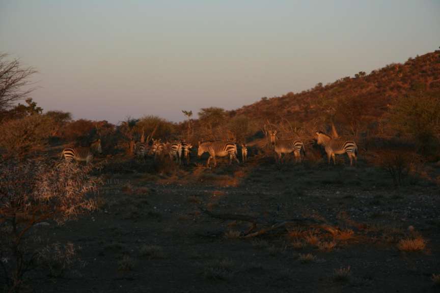 Mount Etjo Lodge