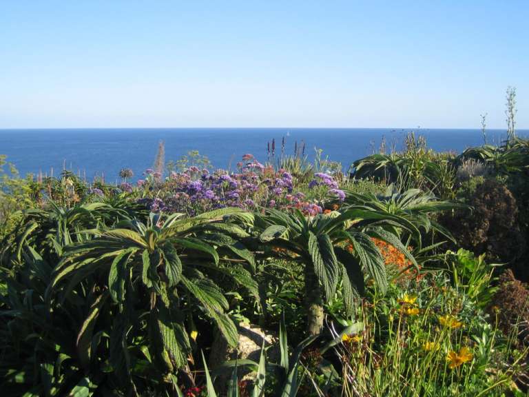 Cornwall