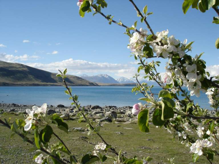 Lake Tekapo