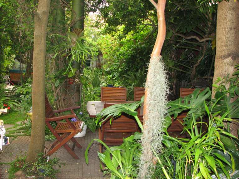 Ein Tisch und Stühle in einem üppigen Garten