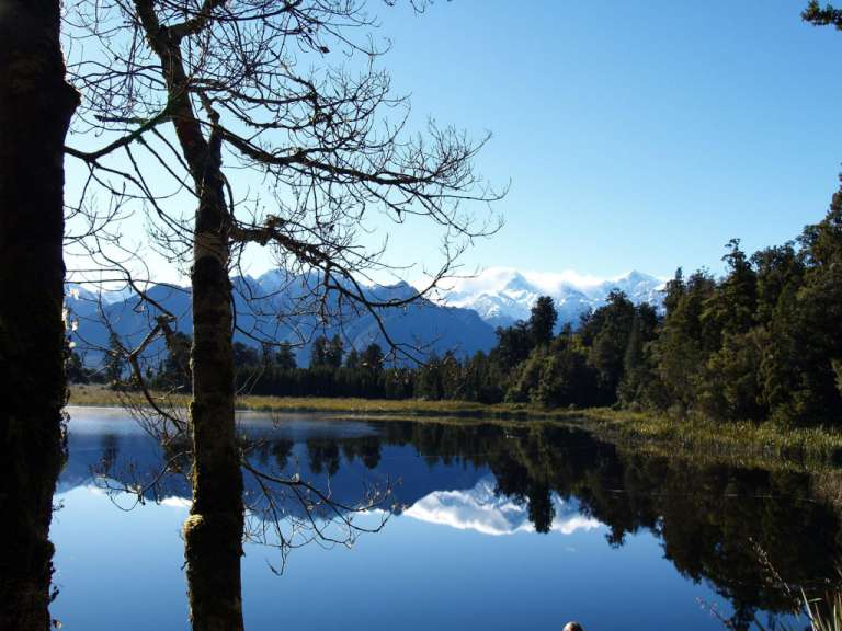 Morgenstimmung am Lake Matheson, Glacier Country
