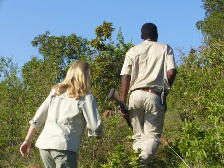 Walking Safari