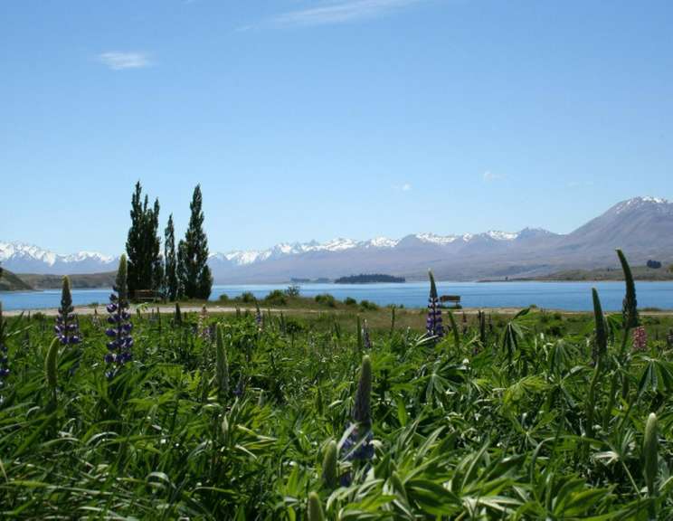 Lake Tekapo